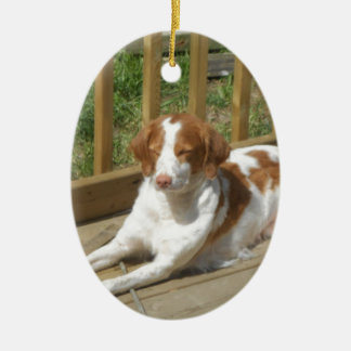 Tessa, mijn kleine puppy keramisch ornament