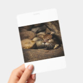 test badge (Handheld)