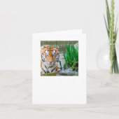 test bedankkaart (Voorkant)