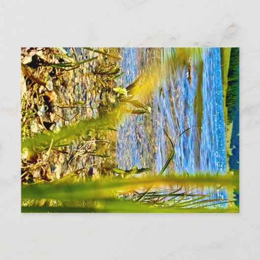 Test Briefkaart (Voorkant)
