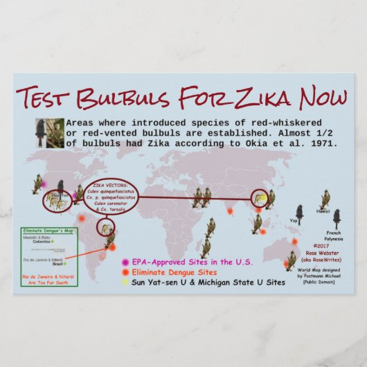 Test Bulbuls op Zika 2-zijdige flyer door RoseWrit (Voorkant)