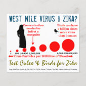 Test Culex & Birds 2-bits Flyer door RoseWrites (Voorkant)