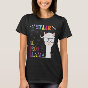 Test Day Squad Geen Prob-Llama Leerkracht Student T-shirt
