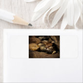 test etiket (Insitu)