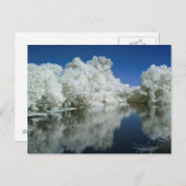 Test Post Card Briefkaart (Voorkant / Achterkant)