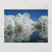 Test Post Card Briefkaart (Voorkant)