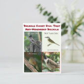 Test Red-Whiskered Bulbulls beroemd gemaakt door R Briefkaart (Staand voorkant)