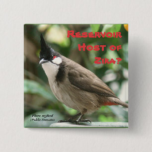 Test roodgloeilampen door RoseWrites Vierkante Button 5,1 Cm