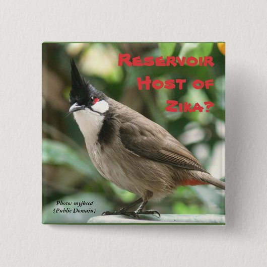 Test roodgloeilampen door RoseWrites Vierkante Button 5,1 Cm (Voorkant)