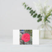 test visitekaartje (Staand voorkant)