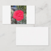 test visitekaartje (Voorkant / Achterkant)