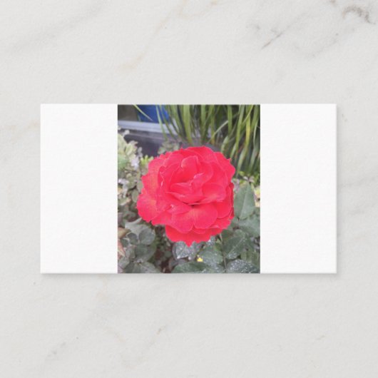 test visitekaartje (Voorkant)