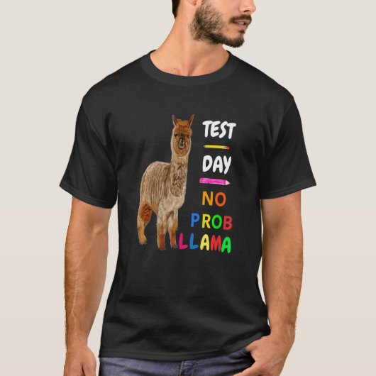 Testdag geen Prob Llama Llama Teacher Testing Day T-shirt (Voorkant)