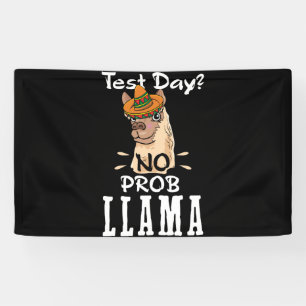 Testdag: Prob Llama Llama Lover Spandoek