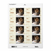 Testen van zonnebank etiket (Full Sheet)