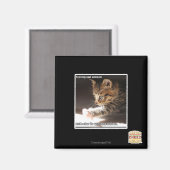 Testen van zonnebank magneet (Voorkant / Achterkant)