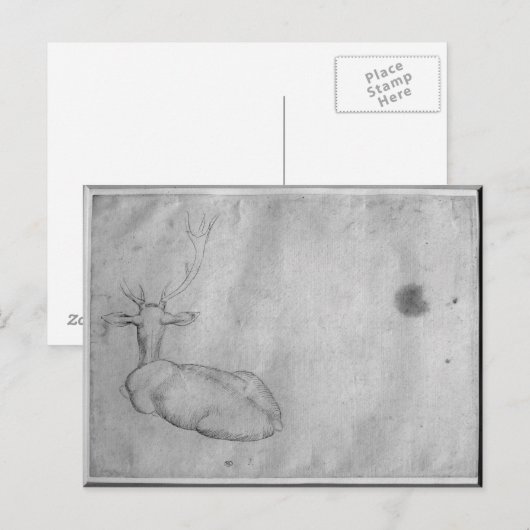 Testfase Briefkaart (Voorkant / Achterkant)