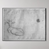 Testfase Poster (Voorkant)