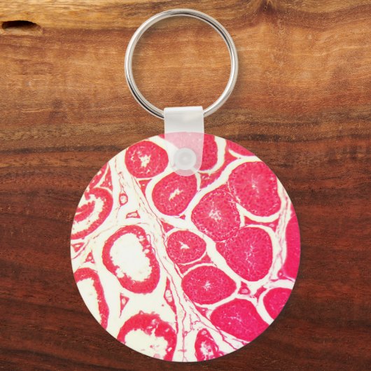 Testicelcellen onder de microscoop sleutelhanger (Voorkant)