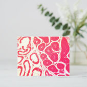 Testicelcellen onder microscoop briefkaart (Staand voorkant)