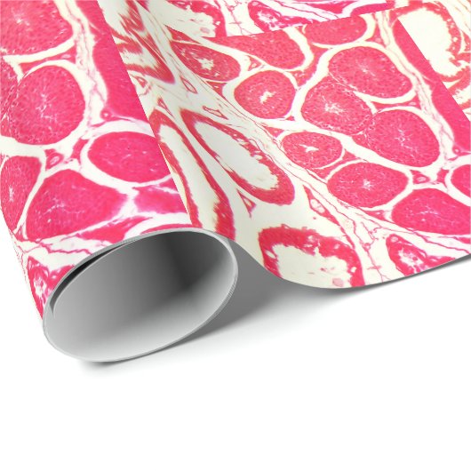 Testicelcellen onder microscoop cadeaupapier (Rol Hoek)