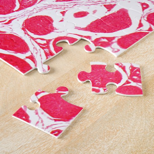 Testicelcellen onder microscoop legpuzzel (Zijkant)