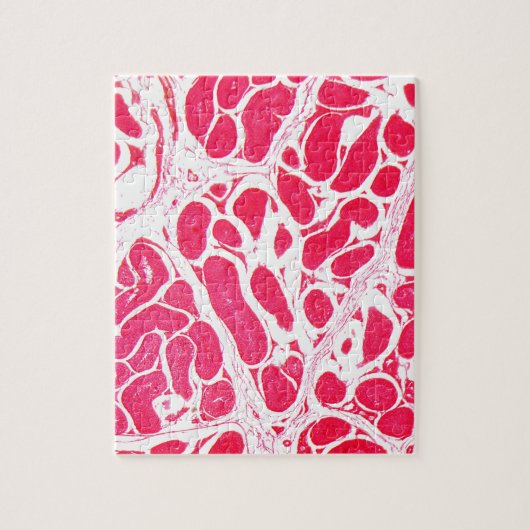 Testicelcellen onder microscoop legpuzzel (Verticaal)