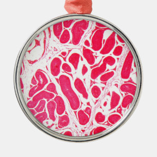 Testicelcellen onder microscoop metalen ornament