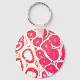 Testicelcellen onder microscoop sleutelhanger