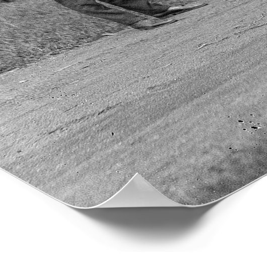 Testing Bulletproof Vest, 1923.  foto Poster (Hoek)