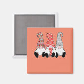 testmagneet magneet (Voorkant / Achterkant)