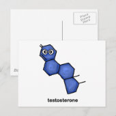 Testosteron Briefkaart (Voorkant / Achterkant)