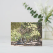 Testplaats Briefkaart (Staand voorkant)