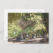 Testplaats Briefkaart (Voorkant / Achterkant)