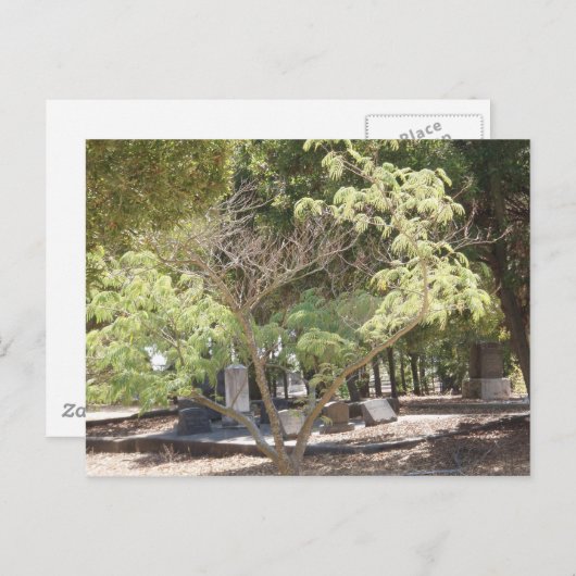 Testplaats Briefkaart (Voorkant / Achterkant)