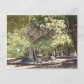 Testplaats Briefkaart (Voorkant)