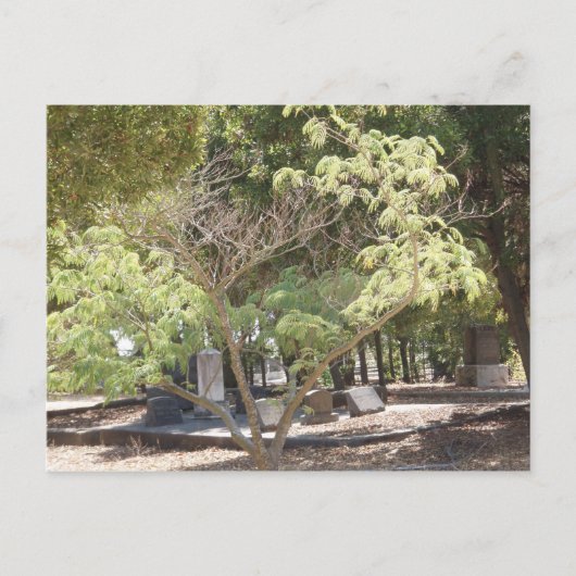 Testplaats Briefkaart (Voorkant)