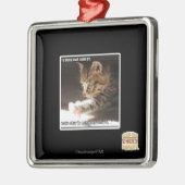 Testuil Metalen Ornament (Links)