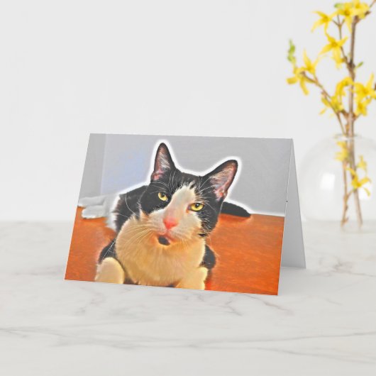 Testy Tuxedo Cat Birthday Kaart (Gele Bloem)