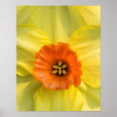 Tête à tête poster (Voorkant)