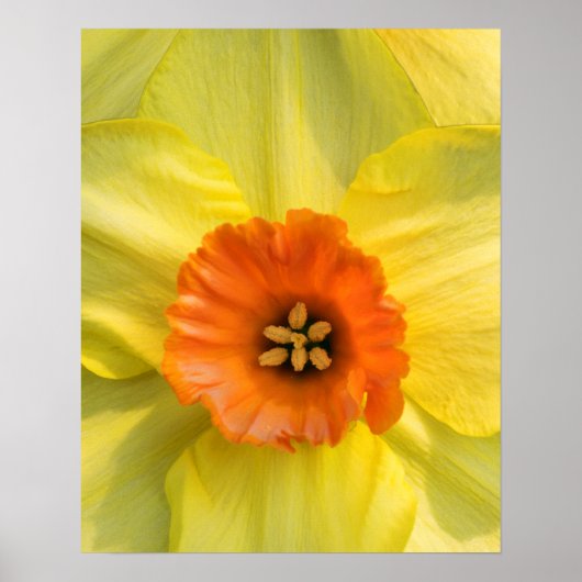 Tête à tête poster (Voorkant)