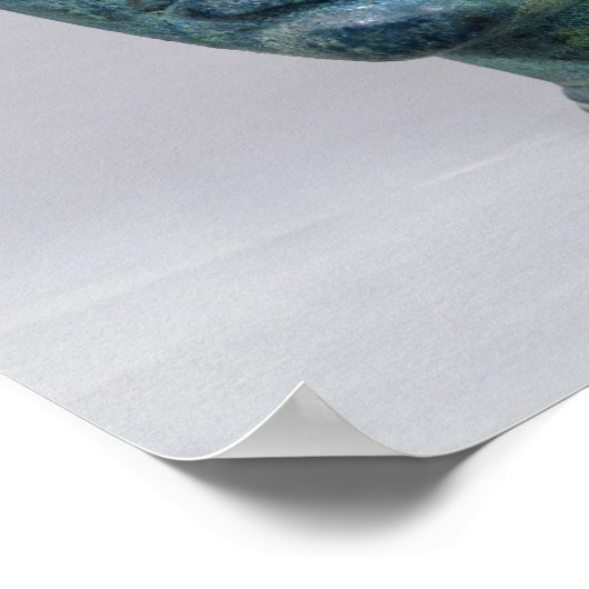 Tete de Gabies" Poster (Hoek)