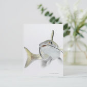 Tete zeeen (Hexanematichthys seemanni) 2 Briefkaart (Staand voorkant)