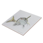 Tete zeeen (Hexanematichthys seemanni) 2 Tegeltje (Zijkant)