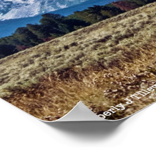 Teton 6976 poster (Hoek)