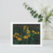 "Teton Balsamroot" Briefkaart (Staand voorkant)