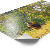 Teton Beer Eating Berries, Wyoming Foto Afdruk (Hoek)