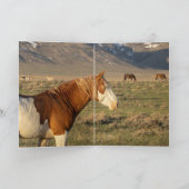 Teton bereikt Wenskaart van wilde paarden (Binnen)