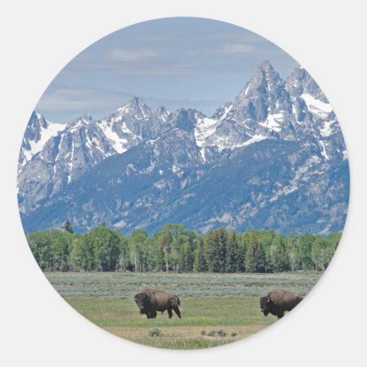 Teton Buffalo Sticker (Voorkant)