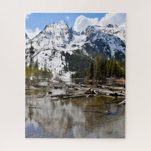 Teton Mountain Stream Reflection - 16x20 - 520 pcs Legpuzzel (Verticaal)